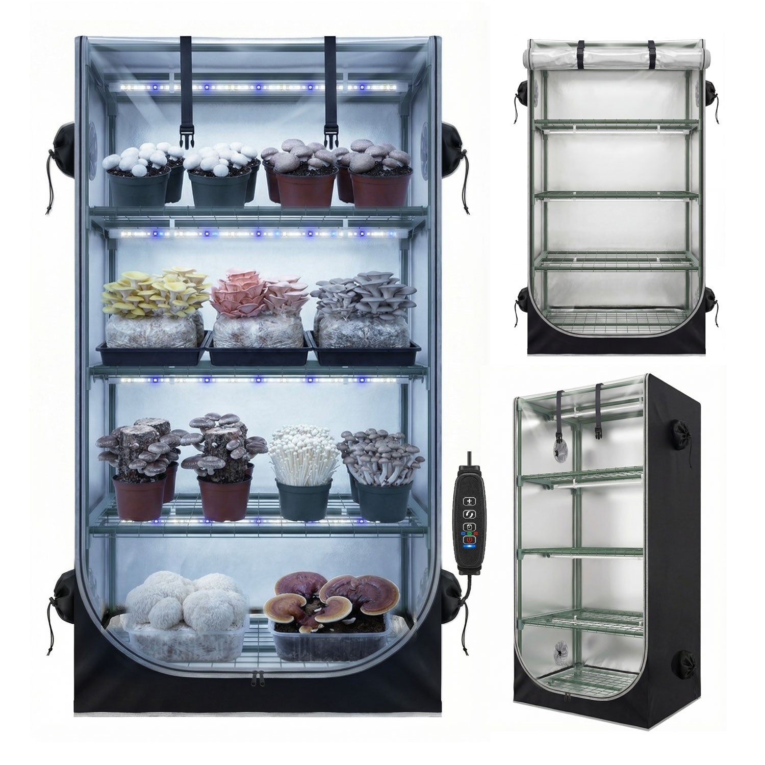 Mushroom Grow Tent with Mushroom - Optimized Grow Lights & Timer, 60" x 27.5" x 20" Indoor Growing Tent with Oxford Fabric Cover, “4" Vent Ports for Accessories - ZYSUOR Reptile Systems