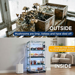 Mushroom Growing Tent with Specialized Grow Lights & Timer, 60" x 27.5" x 20", Indoor Greenhouse with Transparent Cover, 4" Accessory Ports - ZYSUOR Reptile Systems