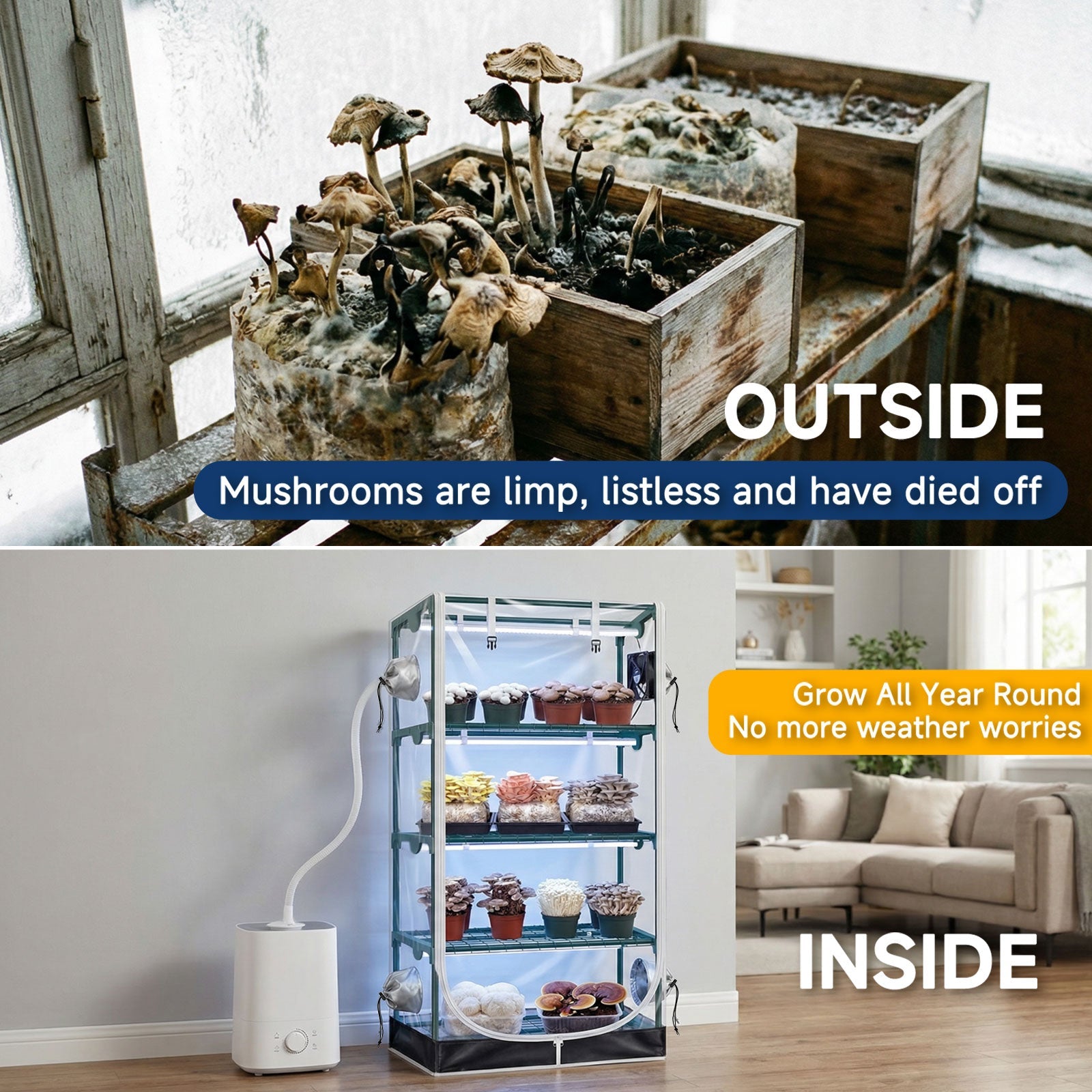 Mushroom Growing Tent with Specialized Grow Lights & Timer, 60" x 27.5" x 20", Indoor Greenhouse with Transparent Cover, 4" Accessory Ports - ZYSUOR Reptile Systems
