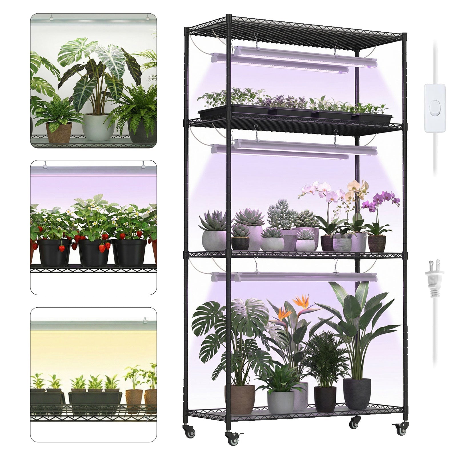 Plant Stand with Grow Lights, 4 - Tier Plant Shelf, 6 Sets 3 - Color LED Grow Light with Timer, Wide Plant Rack for Indoor Gardening, Seed Starting, Herbs & Flowers, 36" W x 14" D x 63" H - ZYSUOR Reptile Systems